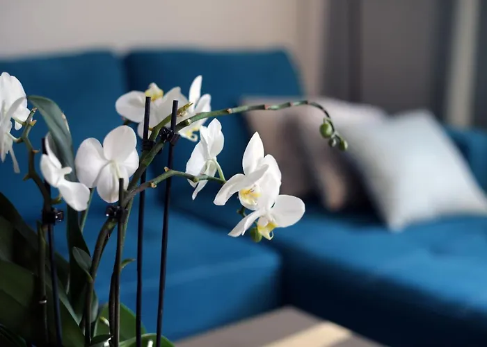 Apartament Turkus Szczecin